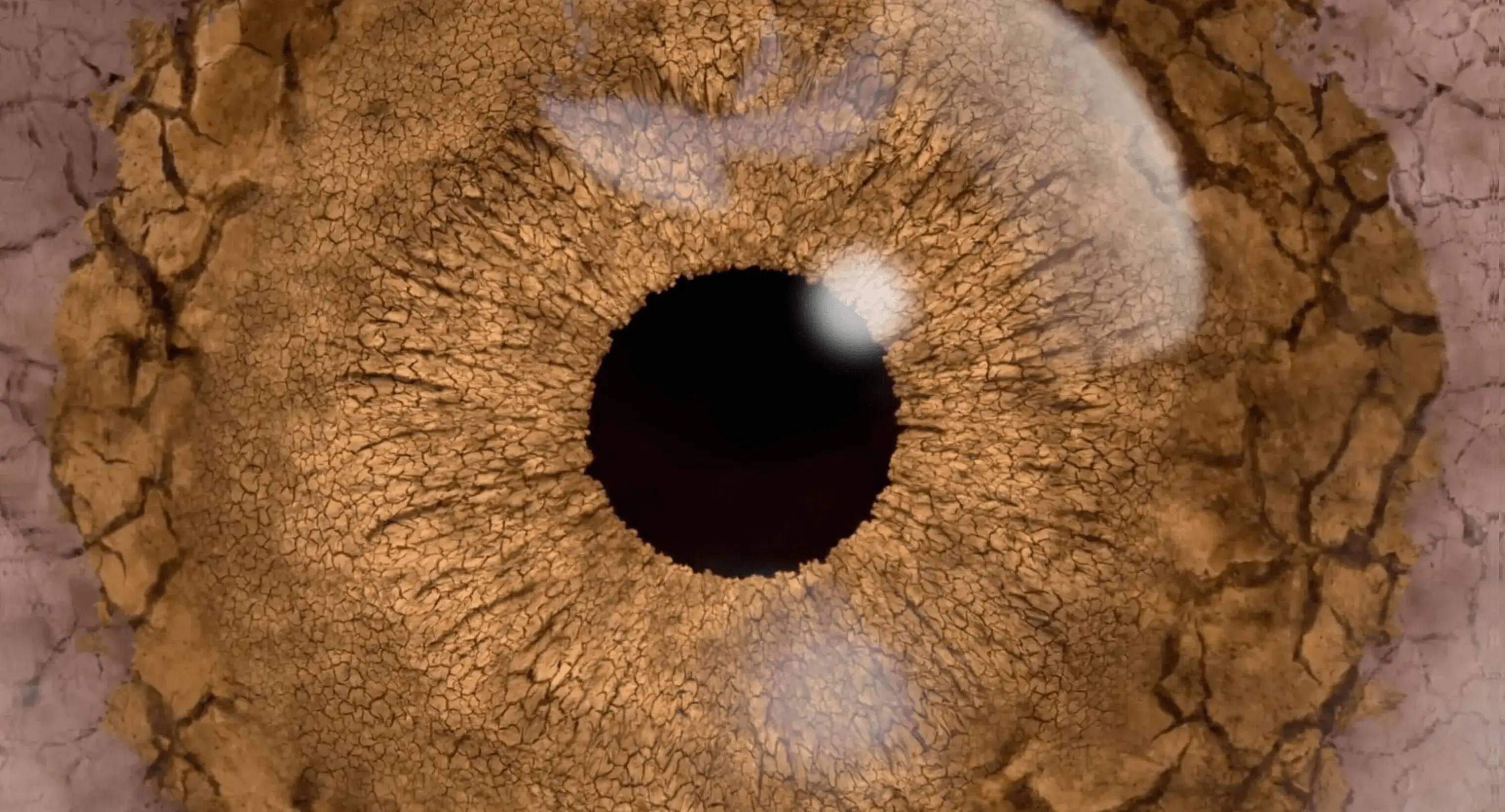 eye img