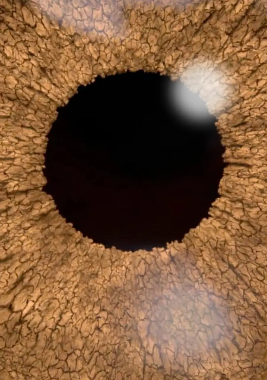 eye img